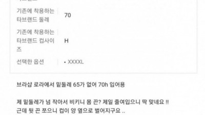 H컵 여자의 브라 착용 후기