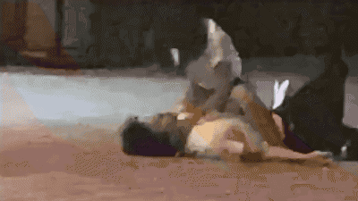 [킹재규] SM좋아하시는 형들 소개해드림